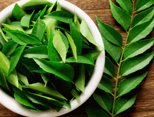 Multiple uses of Curry leaf/Kadi patta powder for healthy hair and body