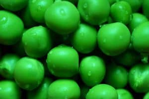 green-peas-ccflcr-andrew-michaels